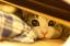 んなぁ