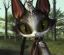 Cait Sith